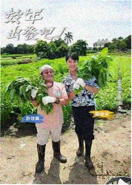 歌手 西瓜影音音乐综艺